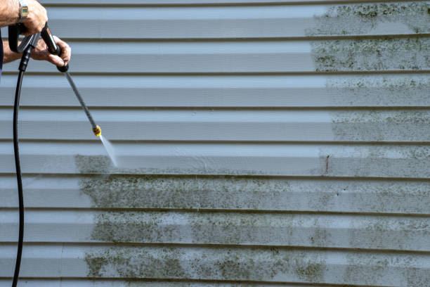 Best Aluminum Siding Installation  in Mount Pleasant, MI