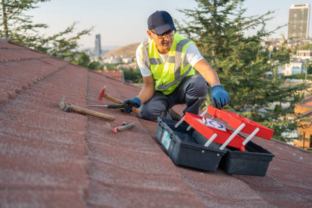 Best Siding Removal and Disposal  in Mount Pleasant, MI